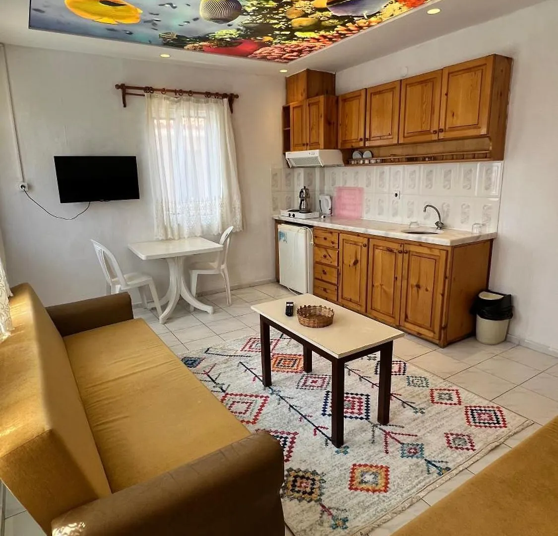 Kayali Apart Hotel Ortaca  土耳其